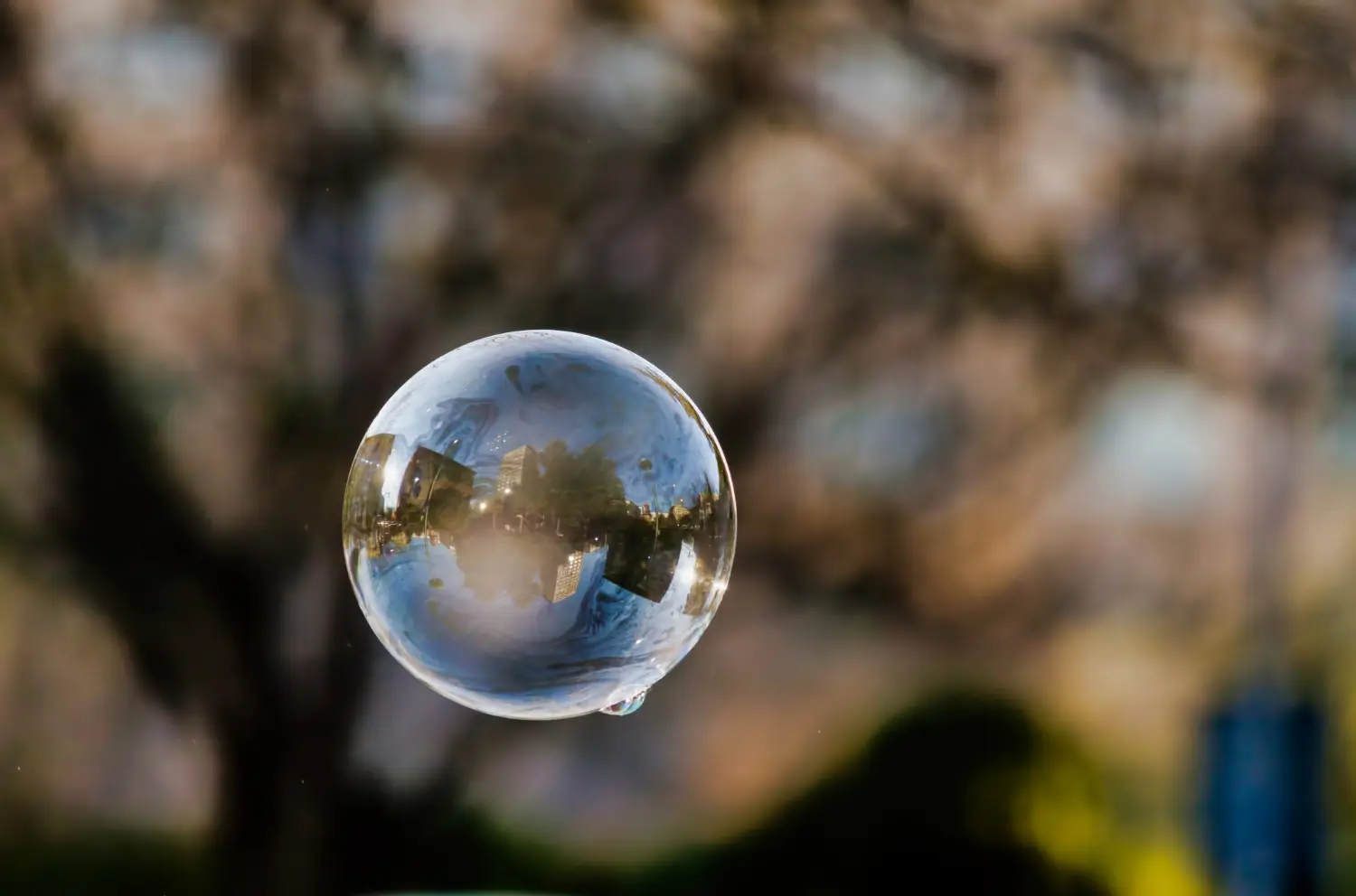 Comment faire du savon à bulles ?